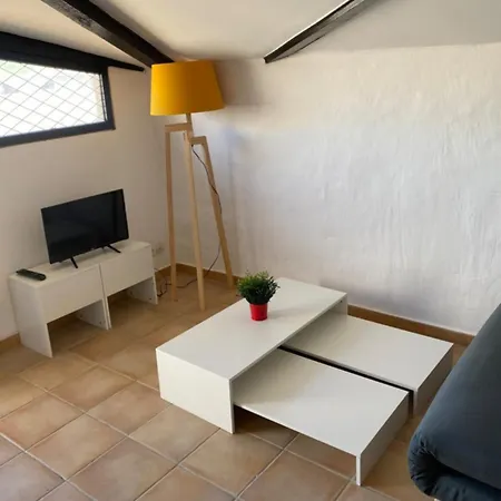 Studio With Terrace In The City Center Apartment Carcassonne